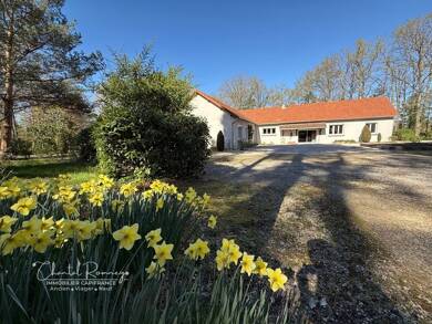Maison en viager libre Bouquet 134 860 € 10 pièces 4 chambres 260 m² 24 265 m² de terrain Romorantin Est Romorantin-Lanthenay 41200